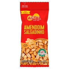 AMENDOIM SALGADO AGTAL 100G